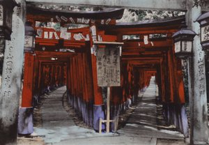 日本、1912年頃。京都・伏見宮の鳥居並木（写真