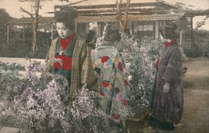 藤の花を持つ日本人女性（カラー写真）