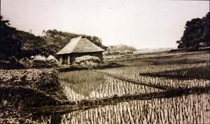 日本の田んぼ 作： Photographer Japanese