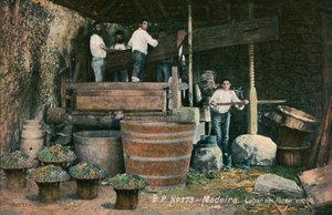 ワインプレス、マデイラ島、ポルトガル（モノクロ写真） 作： 写真家 ポルトガル人