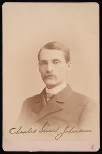 チャールズ・スウィート・ジョンソンの肖像、1870～1871年。 作： Photographic Art Company