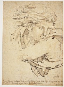 天使の頭; ラファエロの後 作： Pier Leone Ghezzi