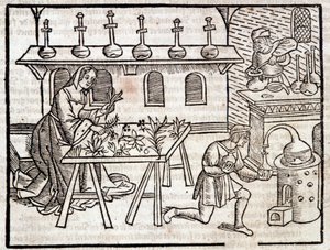 植物とその美徳による医学 - ピエール・ド・クレセント著「Des profit champêtres et ruraux」（パリ 作： Piero da Crescentino
