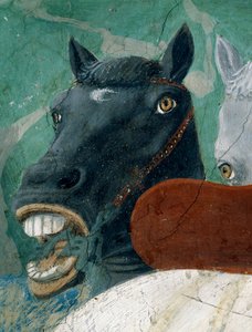 真の十字架の伝説、ソロモン王によるシバの女王のレセプション、馬の詳細、1464年のフレスコ画