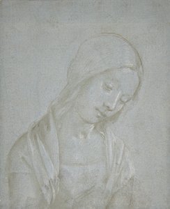 若い女性の胸像」1495年頃 作： Piero di Cosimo.