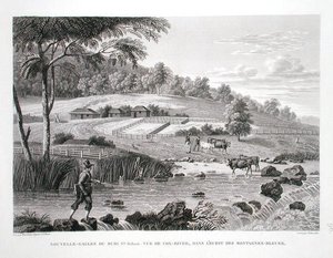 ニューサウスウェールズ州、ニューホランド州ルイ・クロード・ドゥ・フレシネ（1779-1842）の「Voyage Autour du Monde（1817-20）」からブルー・マウンテンズの西にあるコックス川の眺め、シュローダーの彫刻、1822-24年に出版（リトグラフ） 作： Pierre Antoine (after) Marchais