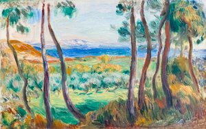 カーニュ近くの松、c。 1910年（キャンバスに油彩）