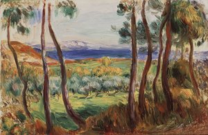 カーニュ周辺の松、c。 1910年。 作： Pierre Auguste Renoir