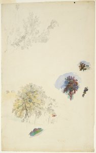 樹木と葉の研究 作： Pierre Auguste Renoir