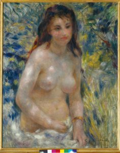 太陽の下で女性の胴体 作： Pierre Auguste Renoir