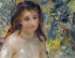 太陽の下で女性の胴体 作： Pierre Auguste Renoir