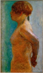 プロファイルの女性の胴 作： Pierre Bonnard