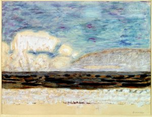 不明な画像 作： Pierre Bonnard