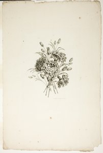 カーネーションの花束、「さまざまな花束の花のコレクション」から、ジャン・ピレマンによって発明および描かれ、P. C. カノーによって彫刻されました 作： Pierre Charles Canot