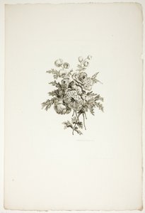 牡丹のブーケ（ジャン・ピルマン作、P.C.カノー版画による花束コレクションより 作： Pierre Charles Canot