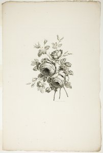 バラの花束、「さまざまな花束のコレクション」から、ジャン・ピレマンによって発明および描かれ、P. C. カノーによって彫刻されました 作： Pierre Charles Canot