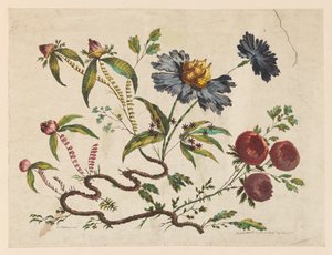 版画『花の梢』（『中国趣味の花々』より）。 作： Pierre Charles Canot
