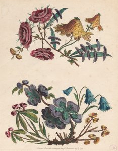 想像上の花の 2 つのスプレー 作： Pierre Charles Canot