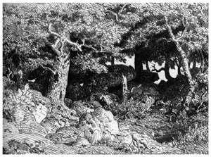 Les Chenes de Roche、c1832-1860、1924 作： Pierre Etienne Theodore Rousseau
