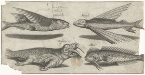 空飛ぶイサキ オンドリ、コブ、ヌタウナギ、セイウチ 釣り（連載タイトル） Piscivm vivae アイコン (シリーズ タイトル) 作： Pierre Firens