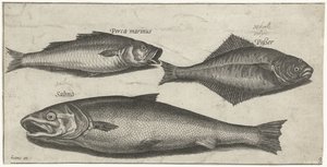 シーバス、ヒラメ、サーモン 釣り（連載タイトル） Piscium v​​ivae アイコン (シリーズ タイトル) 作： Pierre Firens