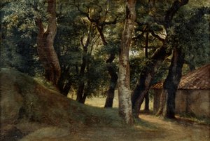 ボルゲーゼ公園の森、18〜19世紀後半 作： Pierre Henri de Valenciennes