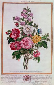 薔薇の花束 リトグラフ ピエール・ジョセフ・ブショ（1731-1807） 18世紀 パリ B.N. 作： Pierre Joseph Buchoz