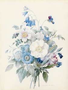 ブルーアスター、ロサ・スピノシッシマ（ハイブリッド）、ハールベル、ビオラ、カーネーション、野バラ 作： Pierre Joseph Redouté