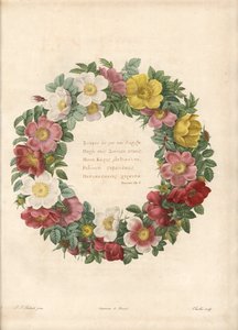 薔薇の冠とギリシャ語の標語 - シャルラン作「オー・フォルテ」、ピエール・ジョセフ・ルドゥー（1759-1840）の挿絵の後、『薔薇』より 作： Pierre Joseph Redouté