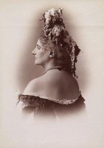 [バラのシリーズからのカスティリオーネ伯爵夫人]、1895 年。