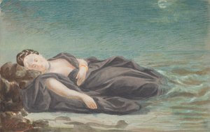 バージニア州、1860 年代。 作： Pierre Louis Pierson