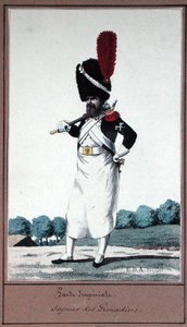 帝国軍、擲弾兵のサッパー 作： Pierre Maleuvre