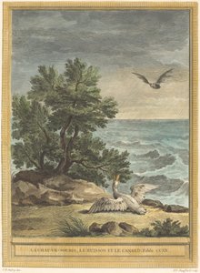 コウモリ、ブッシュ、アヒル 作： Pierre Philippe Choffard after Jean Baptiste Oudry