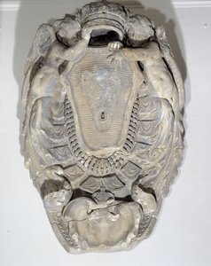 王、ルイ14世（1638-1715）の武器（大理石製