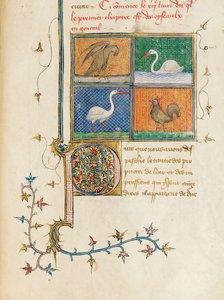 1390年頃のジャンコルベションのフランス語訳におけるイギリス人バーソロミューによる「物性」のページ 作： Pierre Remiet