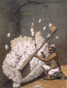 カーディングコットン、1782年。 作： Pierre Sonnerat