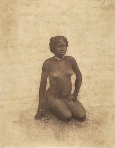 若いヌーバの女性、1853-54。 作： Pierre Tremaux