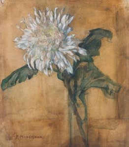 菊