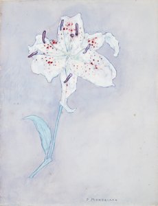 リリー、c.1920-25（紙に水彩） 作： Piet Mondrian
