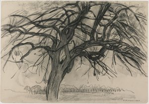 夜の予備調査：The Red Tree、1908（紙に黒いクレヨンと木炭）