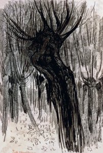 ウィローズ 作： Piet Mondrian