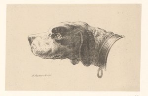 首輪付き犬の頭