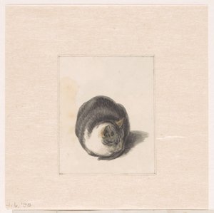 正面から見た座り猫 作： Pieter Bartholomeusz. Barbiers