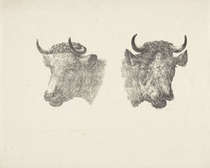 2 つの雄牛の頭 作： Pieter Bartholomeusz. Barbiers