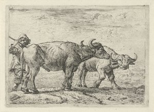 2頭の水牛と羊飼い いろいろな動物（シリーズタイトル） 作： Pieter Bodding van Laer