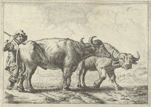 2頭の水牛と羊飼い いろいろな動物（シリーズタイトル） 作： Pieter Bodding van Laer