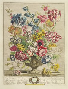 4月、「花の12か月」から、ロバート・ファーバー（c.1674-1756）、ヘンリー・フレッチャー（fl.c.1729）によって彫刻され、1730（カラーアクアチント）を公開（125934も参照）