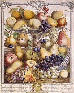 1732年11月、季節のリンゴ、ナシ、ブドウなどを表示、1732年 作： Pieter Casteels