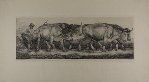 耕作牛 作： Pieter Dupont