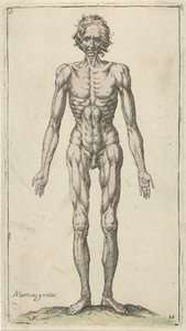 裸の男の研究 解剖学的研究（シリーズタイトル） 作： Pieter Feddes van Harlingen